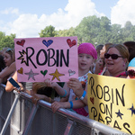 Robin (11/11)